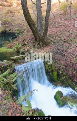 Schöner Shiraito Wasserfall am Fuße des vulkanischen Berges in Karuizawa, Japan Stockfoto