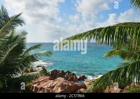 Granitfelsen-Ozeanküste und Palmen auf den Seychellen, La Digue, Anse Patates Stockfoto