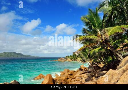 Granitfelsen-Ozeanküste und Palmen auf den Seychellen, La Digue, Anse Patates Stockfoto