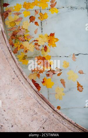 Fallen verschiedene bunte Blätter schwimmend im Schwimmbad Wasser (Brunnen), Draufsicht. Stockfoto