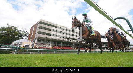 Pferde passieren die Stände im bet365 Handicap in Haydock, gewonnen von Favorite Moon auf der Haydock Park Racecourse. Stockfoto