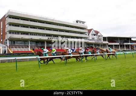 Pferde passieren die Stände im bet365 Handicap in Haydock, gewonnen von Favorite Moon auf der Haydock Park Racecourse. Stockfoto