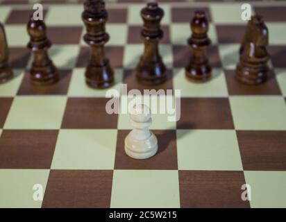 Schachmünzen - weiße, schwarze Münzen mit Blick auf die Spielfigur Stockfoto