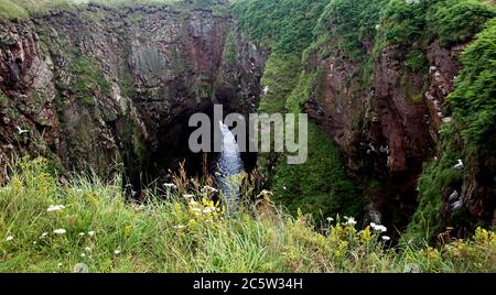 Bullers of Buchan Sea Cave in Aberdeenshire Schottland Stockfoto