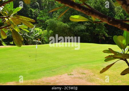 Golfplatz auf der tropischen Insel Praslin, Seychellen Stockfoto