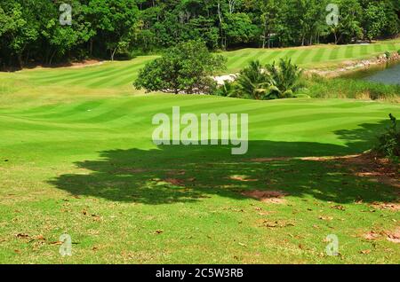 Golfplatz auf der tropischen Insel Praslin, Seychellen Stockfoto