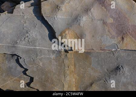 Textur eines dunkelgrauen Granitsteins oder Hintergrund für Design. Die Oberfläche des Steins von der Textur Oberflächen für die Fliesen. Stockfoto