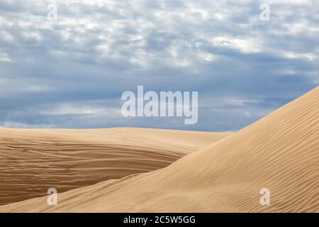 Wellige Dünen in den Imperial Sand Dunes, Kalifornien Stockfoto