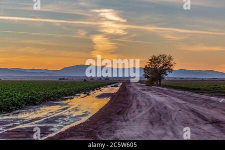 Blick auf eine unbefestigte Straße bei Sonnenuntergang, mit dem Himmel in Pfützen reflektiert Stockfoto