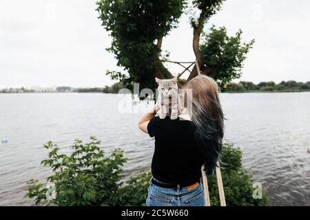 Ein Mädchen mit blauen Haaren steht mit dem Rücken und hält im Sommer ein drei Monate altes schottisches Straight Kätzchen in der Nähe eines Baumes. Die Katze schaut auf die Kamera. Hochwertige Fotos Stockfoto