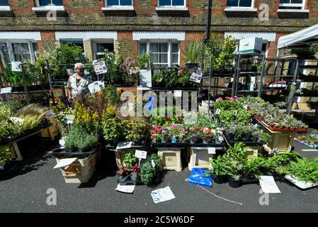 London, Großbritannien. Juli 2020. Ein Marktstand als Pflanzenliebhaber besucht den Columbia Road Flower Market in East London auf der Wiedereröffnung des ITS, nachdem bestimmte Einschränkungen für die Sperrung durch die Pandemie des Coronavirus durch die britische Regierung gelockert wurden. Kredit: Stephen Chung / Alamy Live Nachrichten Stockfoto