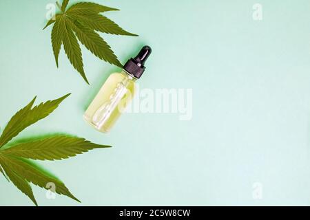 Flasche Öl oder Hanf-Extrakt und Cannabisblätter auf blauem Hintergrund. Cannabisöl, Cannabinoid Draufsicht Stockfoto