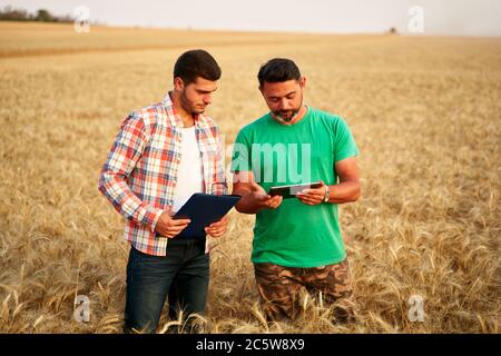 Zwei Bauern stehen im Weizenstoppelfeld, diskutieren Ernte, Ernte. Senior Agronom mit Touch Tablet pc lehrt junge Mitarbeiter. Innovative Technik Stockfoto