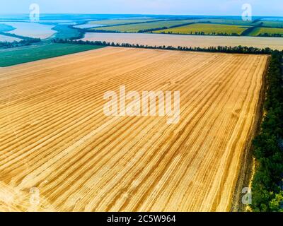 Luftdrohne Foto der ländlichen Landschaft mit geerntetem Weizenfeld voller Stoppeln. Quadcopter Aufnahme der Landschaft nach der Erntezeit. Stockfoto