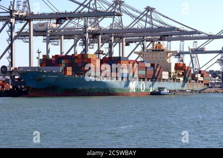 Das Containerschiff MOL Guardian wird am 30. Mai 2020 im Hafen von Rotterdam geladen. Stockfoto