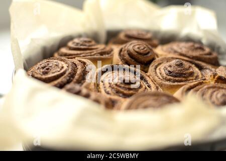 Frische Brötchen Cinnabon, Zimt-Rollen in der Form. Geschmackvolles Gebäck Stockfoto