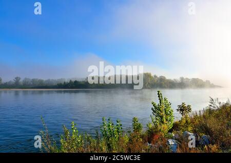 Früher nebliger Morgen über dem Fluss - wunderschöne Sommerlandschaft. Dichter Nebel über dem Wald am Ufer - Frische, Ruhe und Genuss der Natur Stockfoto