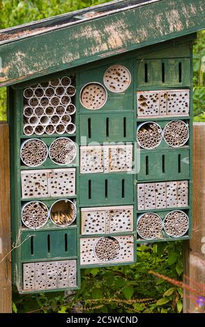 Bug Hotel im Wildfowl & Wetlands Trust in Arundel. West Sussex, Südostengland Stockfoto