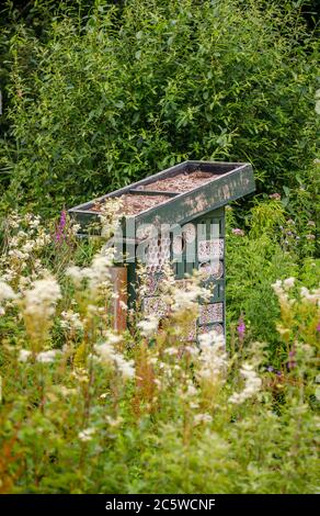 Bug Hotel im Wildfowl & Wetlands Trust in Arundel. West Sussex, Südostengland Stockfoto