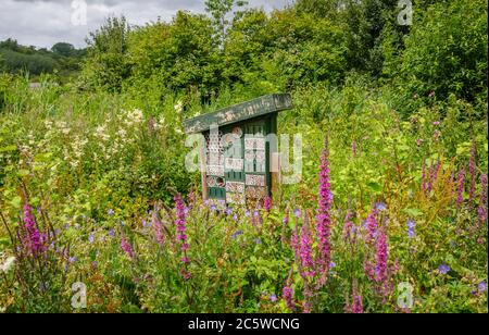 Bug Hotel in einer blumigen sommerlichen Umgebung im Wildfowl & Wetlands Trust in Arundel. West Sussex, Südostengland Stockfoto