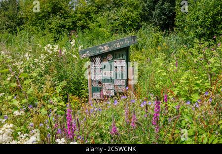 Bug Hotel in einer blumigen sommerlichen Umgebung im Wildfowl & Wetlands Trust in Arundel. West Sussex, Südostengland Stockfoto