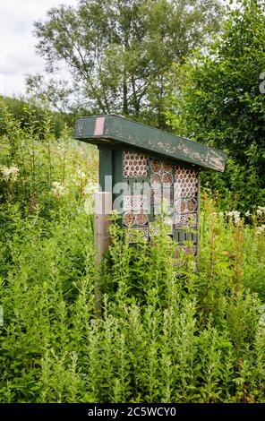 Bug Hotel in einer blumigen sommerlichen Umgebung im Wildfowl & Wetlands Trust in Arundel. West Sussex, Südostengland Stockfoto