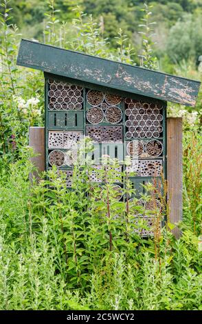 Bug Hotel im Wildfowl & Wetlands Trust in Arundel. West Sussex, Südostengland Stockfoto