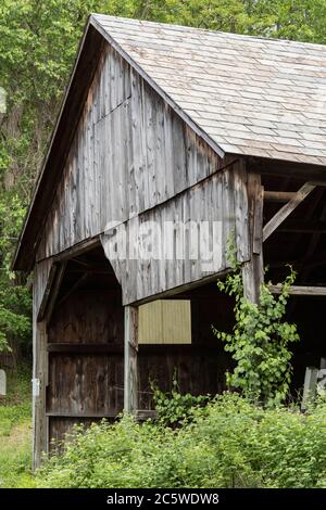 Alte Scheunen/Gebäude, die in der Vergangenheit zum Trocknen und Aushärten von Tabakblättern verwendet wurden. Diese im Südwesten von New Hampshire steht noch heute. „Tabaco Valley“ Stockfoto