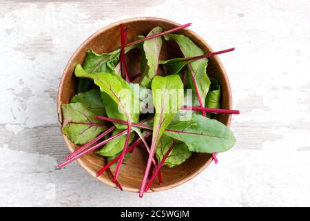 Beta vulgaris 'Boltardy'. Frische, junge Rote Bete Blätter in einer Holzschale. VEREINIGTES KÖNIGREICH Stockfoto