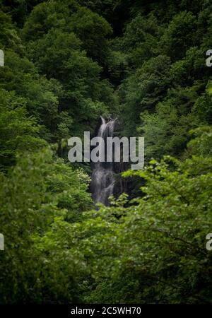 Wasserfall fotografiert zwischen den Ästen von Bäumen in den Wäldern des Rila-Gebirges, Bulgarien im Frühjahr Stockfoto