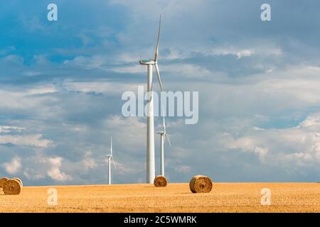 Windkraftanlagen auf einem Getreidefeld in Schleswig-Holstein während der Ernte im Herbst Stockfoto