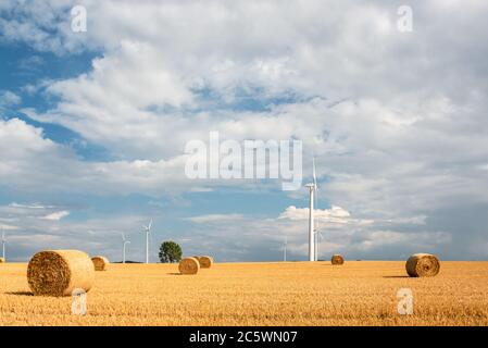 Windkraftanlagen auf einem Getreidefeld in Schleswig-Holstein während der Ernte im Herbst Stockfoto