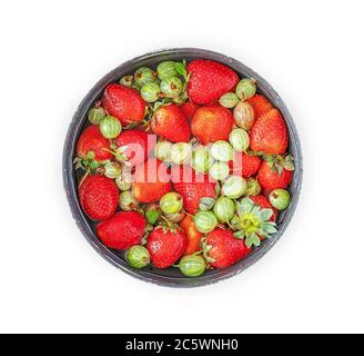 Frische natürliche Erdbeeren und Stachelbeeren in einer Schüssel mit Wasser Auf weißem Hintergrund Stockfoto