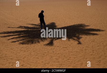 Der junge Mann, der am Strand im Schatten eines Kokospalmenbaumes steht und sein Handy überprüft, Panaji, Goa, Indien. Stockfoto