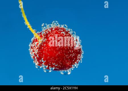 Kirsche in Sodawasser mit Blasen, auf blauem, lebendiger Hintergrund Stockfoto