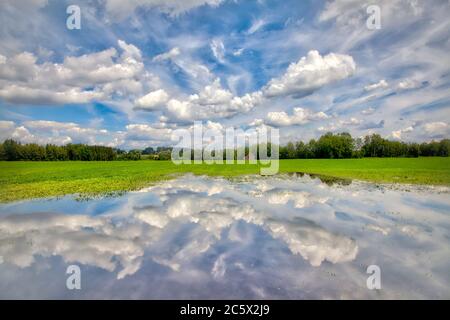 DE - BAYERN: Hoffilze bei Bichl, am Tag nach dem Regen (HDR-Bild) Stockfoto