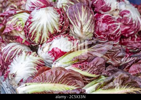 Radicchio zum Verkauf auf einem Bauernmarkt Stockfoto