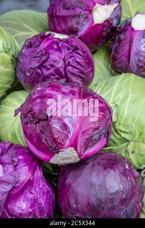 Eine Auswahl an gemischten Cabbages zum Verkauf an einem Marktstand Stockfoto