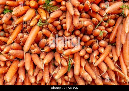 Eine Fülle von Karotten stapelten sich auf einem Marktstand Stockfoto