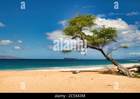 Blick auf Molokini vom Big Beach auf Maui. Stockfoto