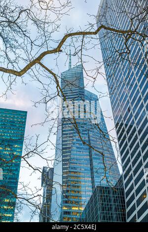 New York, New York City, NYC, Manhattan, Midtown, 42. Street, Bank of America Tower, blattlose Bäume, Dämmerung, Abend, Gebäude, Hochhaus-Wolkenkratzer-Wolkenkratzer Stockfoto