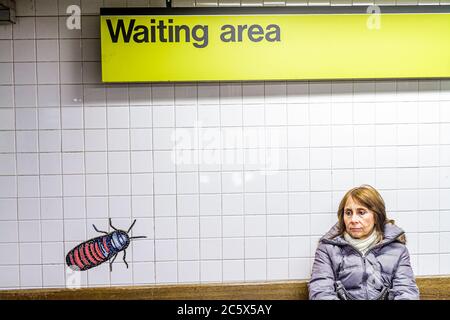 New York City, NYC NY Manhattan, Uptown, MTA New York U-Bahn-System, 81st Street Station, B C Highway Route, 8th Eighth Avenue Line, weibliche Erwachsene Stockfoto