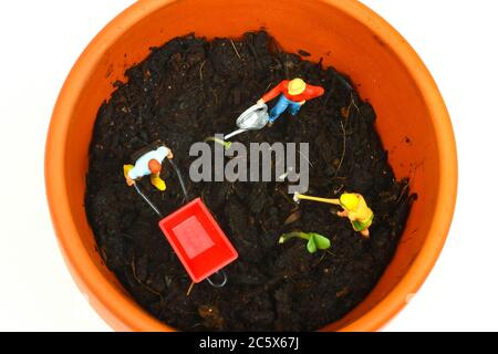 Miniaturfigur Gärtner Bewässerung Sämlinge in einem Terracota Plat Topf Gartenkonzept Stockfoto