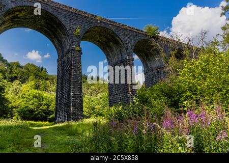 Bögen unter einem alten viktorianischen Viadukt in einer schönen grünen ländlichen Umgebung (Pontsarn Viadukt, South Wales, UK) Stockfoto