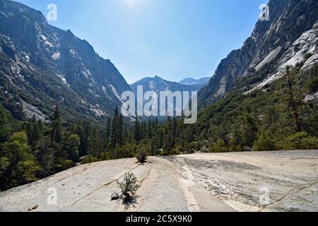 Ein Blick vom Mist Falls Trail im Paradise Valley vor dem Kings Canyon. Blick über steile Bergklippen und Wald. Kings Canyon Nationalpark. Stockfoto