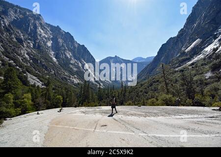 Ein Wanderer hat die Aussicht vom Mist Falls Trail im Paradise Valley. Blick über steile Bergklippen und Wald. Kings Canyon Nationalpark. Stockfoto