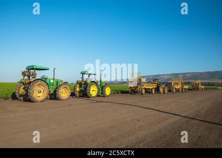 Santa Barbara County, California/USA - 4. Juli 2020 Agrarbereich von Sellerie-Anlage und landwirtschaftlichen Maschinen. Traktoren bei Sonnenuntergang, auf dem stehen Stockfoto