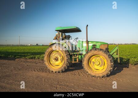 Santa Barbara County, California/USA - 4. Juli 2020 Agrarbereich von Sellerie-Anlage und landwirtschaftlichen Maschinen. Traktoren bei Sonnenuntergang, auf dem stehen Stockfoto