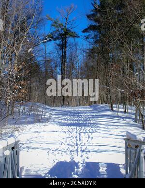Schnee Fußspuren Aufwachen durch einen Winterpfad Stockfoto