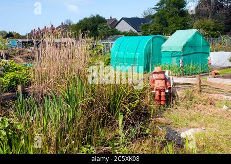 Plantpot Mann auf einem Zuteilungsplatz, der auf einem Stuhl durch langes Gras und einen.überwucherten Teich sitzt. Die ganze Figur wird aus unterschiedlich großen Pflanztöpfen gemacht Stockfoto